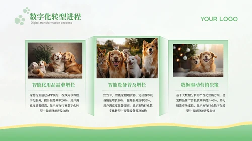 绿色宠物行业报告PPT模版