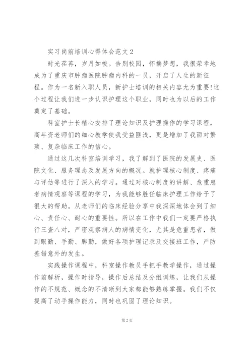 实习岗前培训心得体会范文5篇.docx