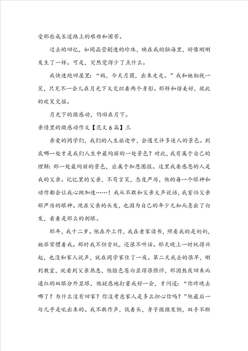 亲情里的微感动作文