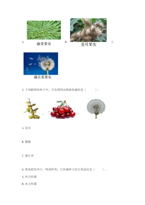 教科版四年级下册科学第一单元《植物的生长变化》测试卷（培优）.docx