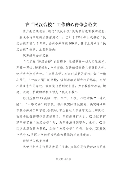 在“民汉合校”工作的心得体会范文.docx