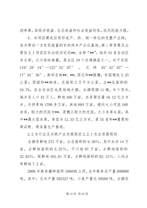 羊叉河综合方案可行性研究报告 (3).docx