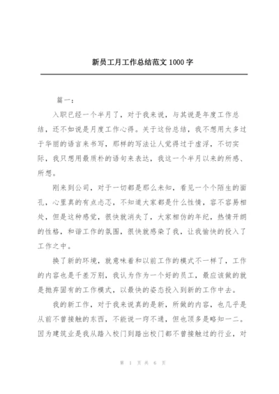 新员工月工作总结范文1000字.docx