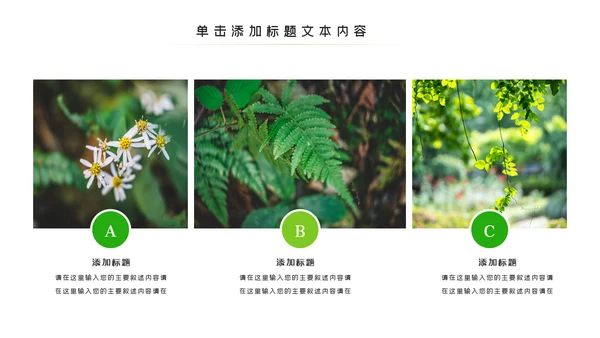 唯美绿色植物发芽植物生长敬畏生命PPT模板