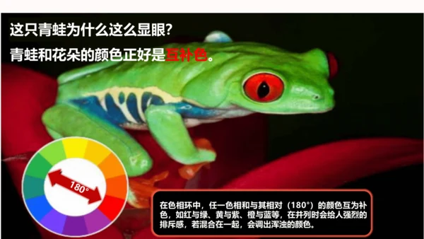 【大单元教学】第1课自然的色彩 课件（31页）--人美2024版七年级上册