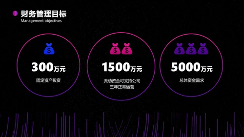 色紫炫酷科技风行业商业计划书