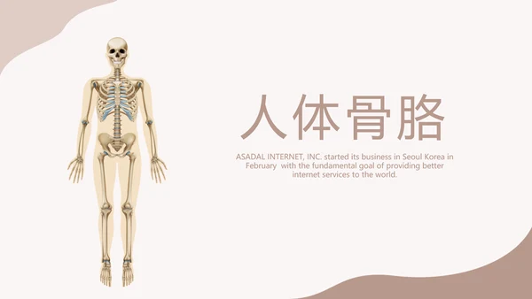 医学人体骨胳动态PPT模板