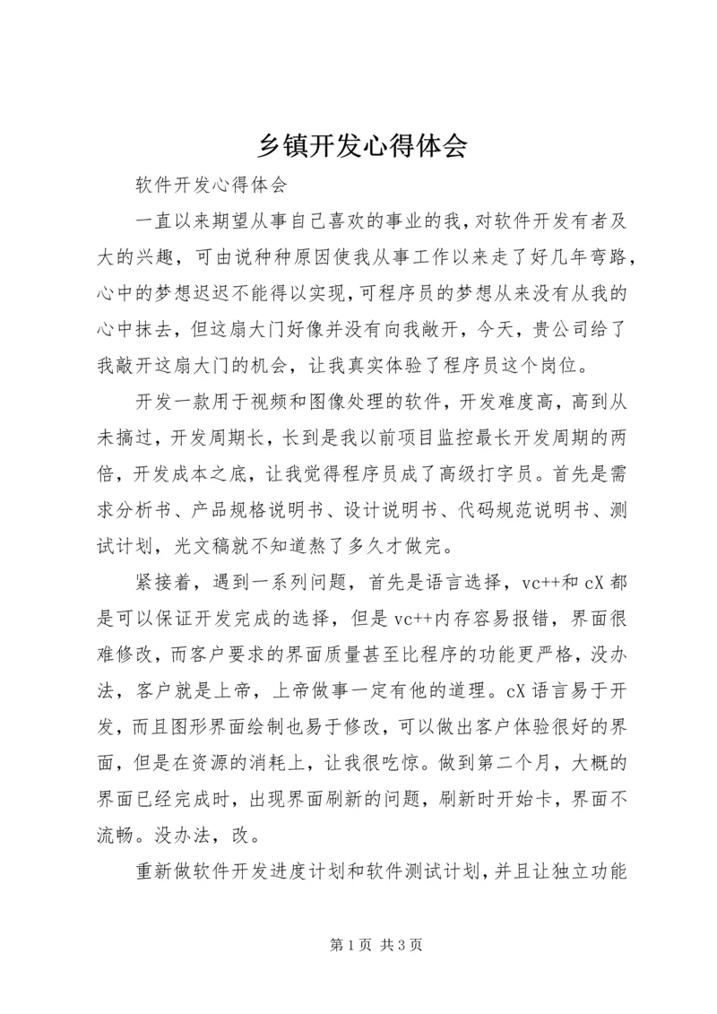 乡镇开发心得体会.docx