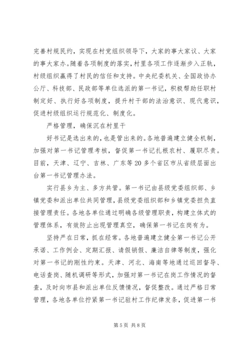 第一书记驻村工作计划 (4).docx