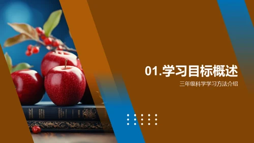 三年级学习之旅