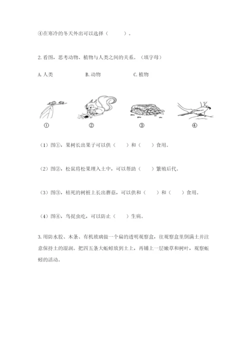 教科版小学二年级上册科学期末测试卷精品（实用）.docx