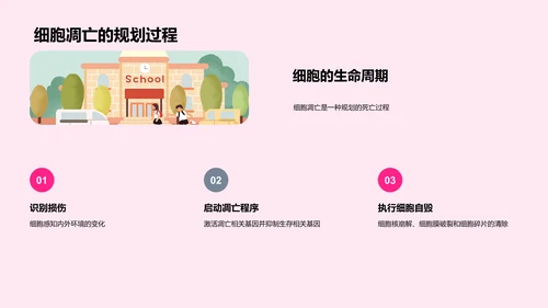 医学细胞学讲解PPT模板