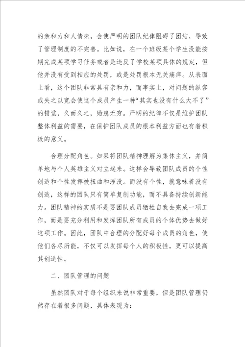 团队管理的问题与策略