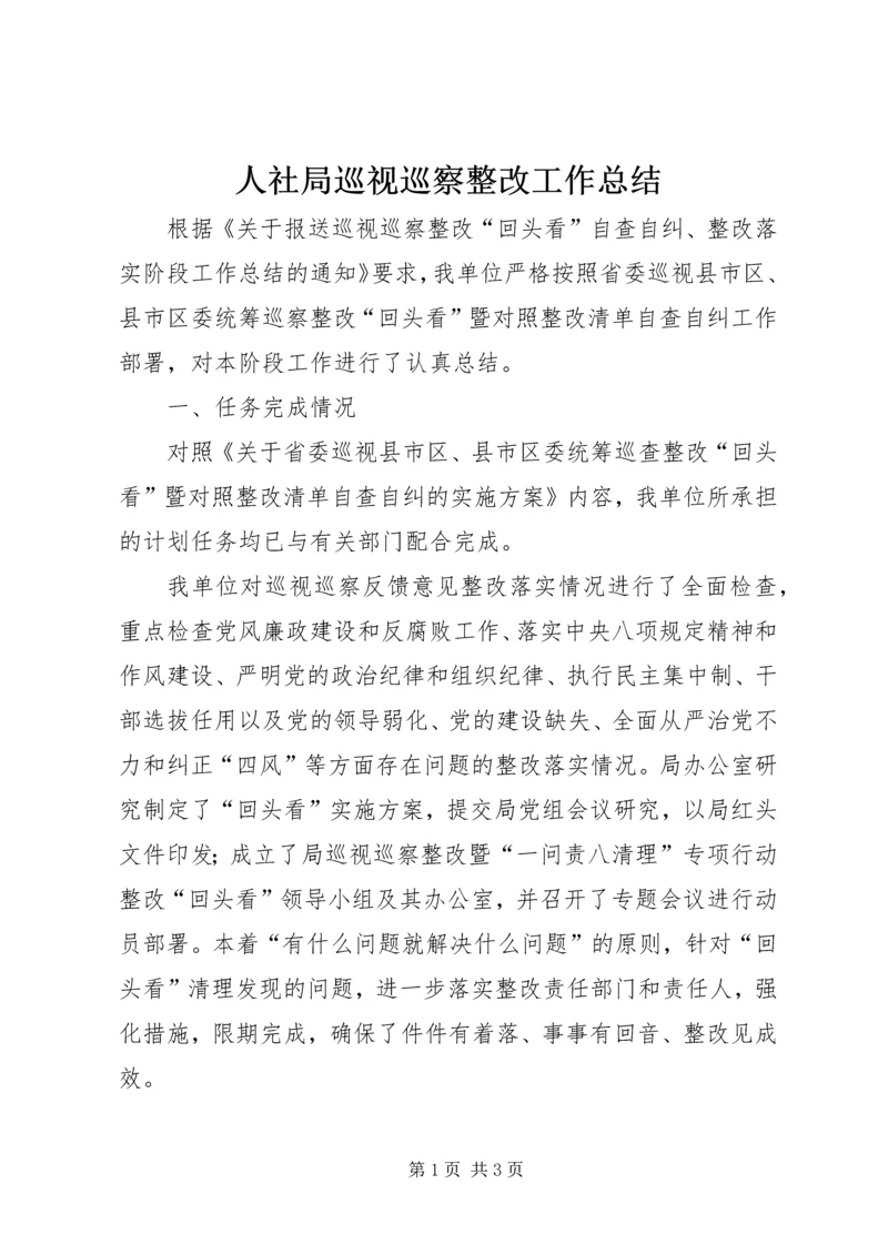 人社局巡视巡察整改工作总结.docx