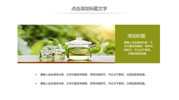 清新茶文化茶叶绿茶产品介绍动态PPT模板
