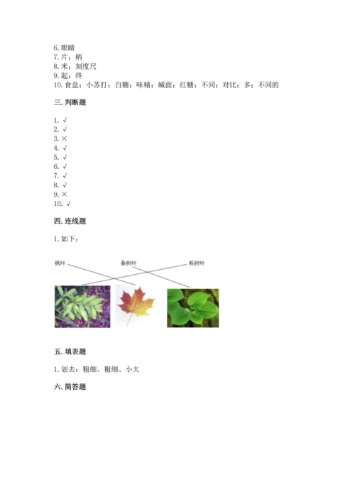 教科版一年级上册科学期末测试卷有完整答案.docx