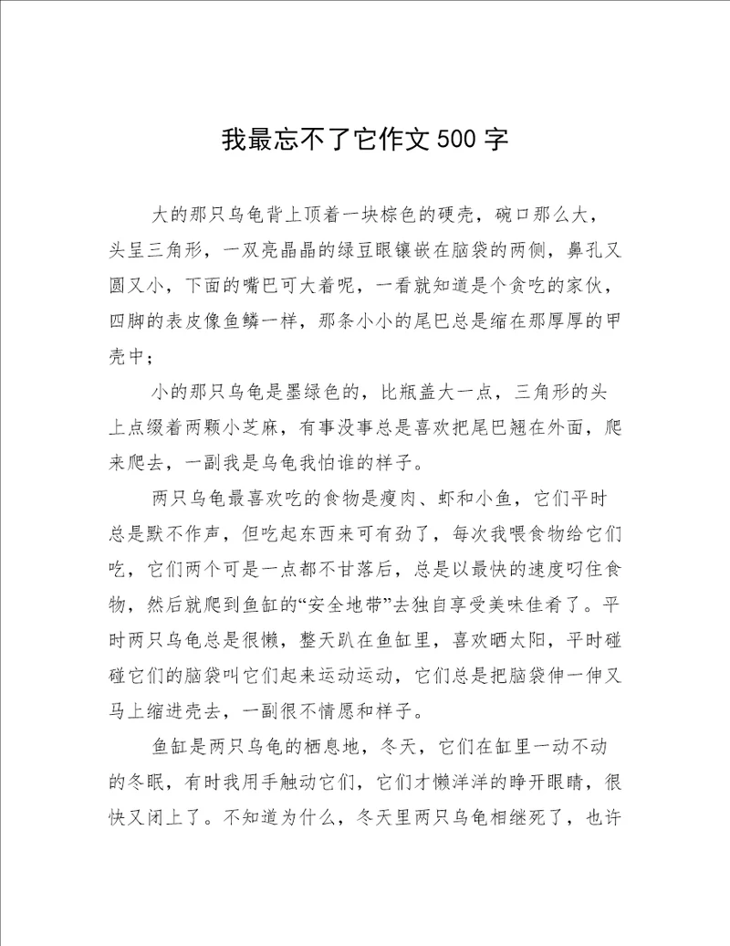 我最忘不了它作文500字