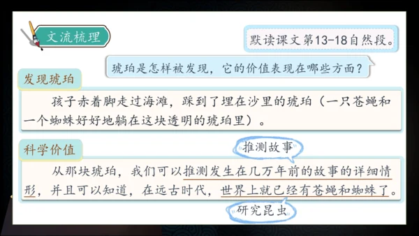 【核心素养】部编版语文四年级下册-5.琥珀 第2课时（课件）