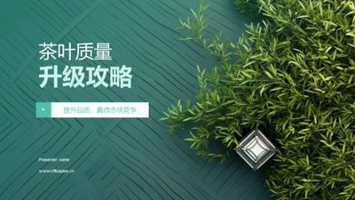 茶叶质量升级攻略