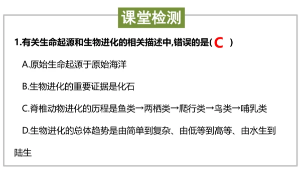 八下 第七单元复习课件(共58张PPT)