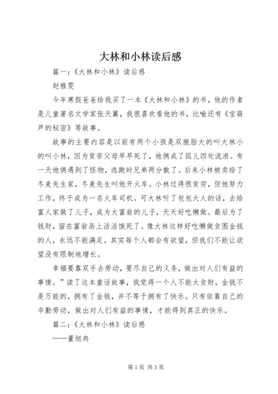 大林和小林读后感 (3).docx