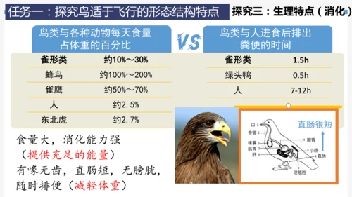 人教版生物七年级上册2.2.2《脊椎动物（三）鸟和哺乳动物》教学课件(共32张PPT)+视频素材