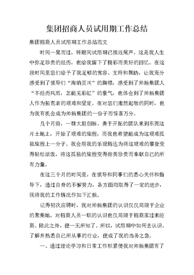 集团招商人员试用期工作总结