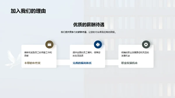 加入我们 齐飞翔