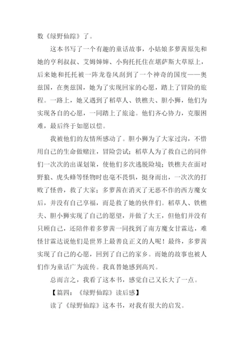 绿野仙踪读后感400字.docx