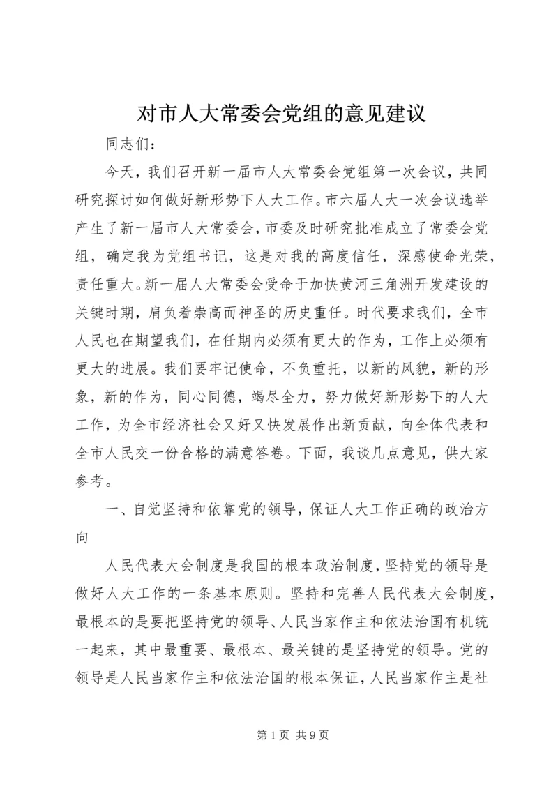 对市人大常委会党组的意见建议 (3).docx