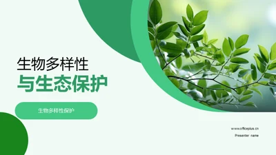 生物多样性与生态保护