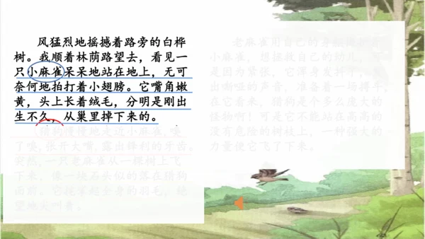 第16课《麻雀》课件