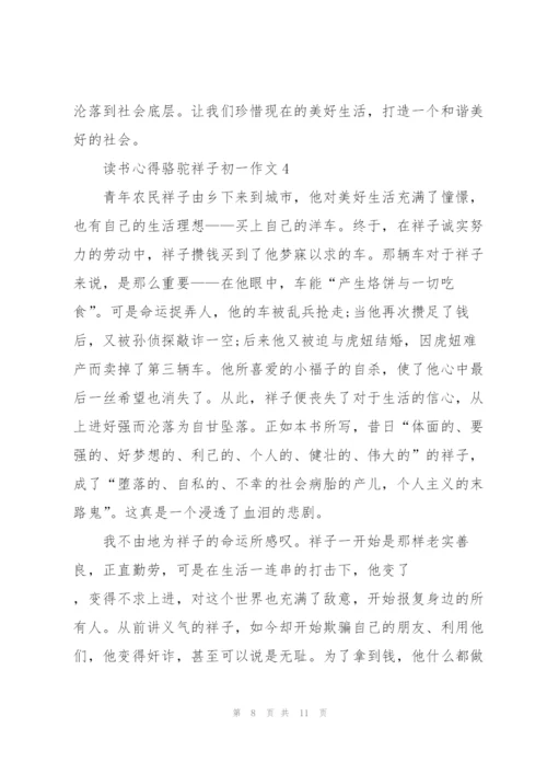 骆驼祥子初一学生读书心得作文5篇.docx