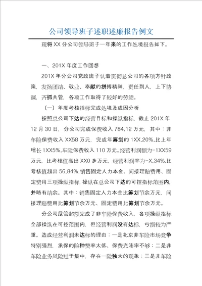 公司领导班子述职述廉报告例文