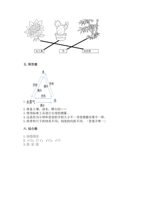 教科版一年级上册科学期末测试卷审定版.docx