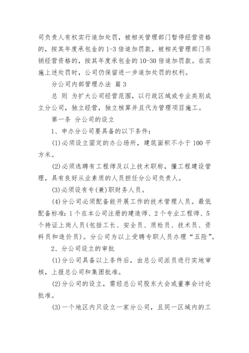 分公司内部管理办法_1.docx