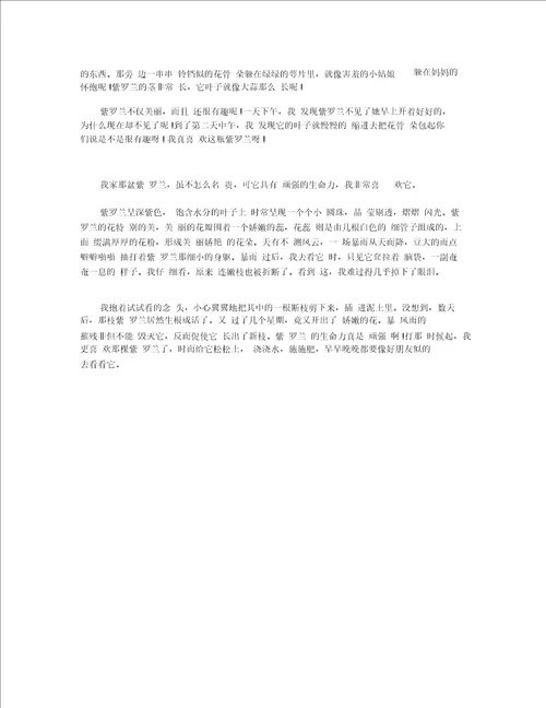 以紫罗兰为话题的作文 高三紫罗兰作文素材