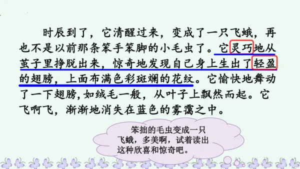 22小毛虫  课件