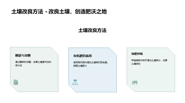 绿色种植：茶叶生态之路