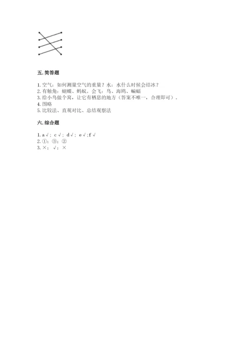 教科版一年级下册科学期末测试卷附完整答案（网校专用）.docx