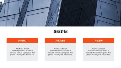 单色扁平3项企业介绍