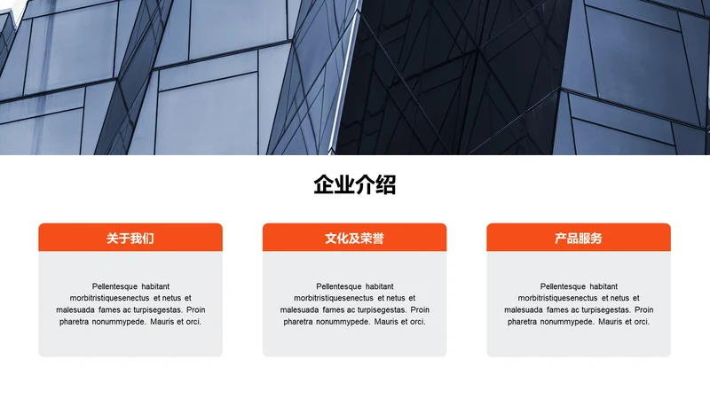 单色扁平3项企业介绍