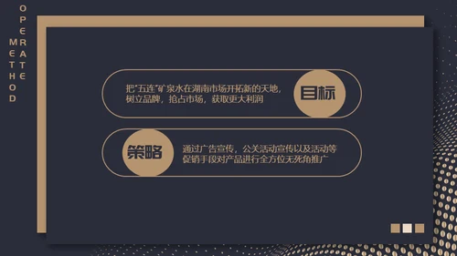 高端质感大气项目融资计划通用PPT模板