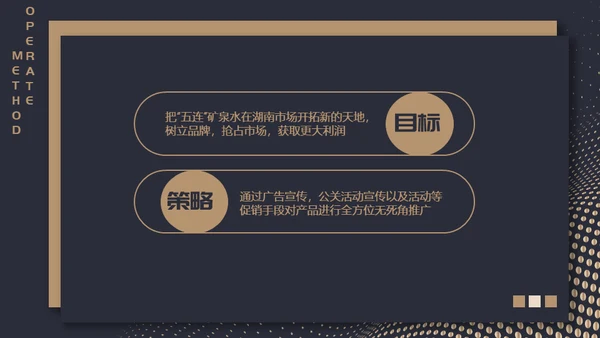 高端质感大气项目融资计划通用PPT模板