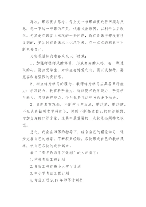 青蓝工程青年教师学习计划_1.docx