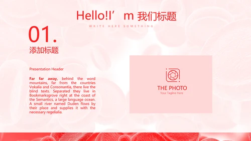 血细胞分析动态PPT