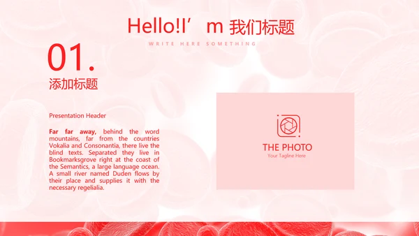 血细胞分析动态PPT