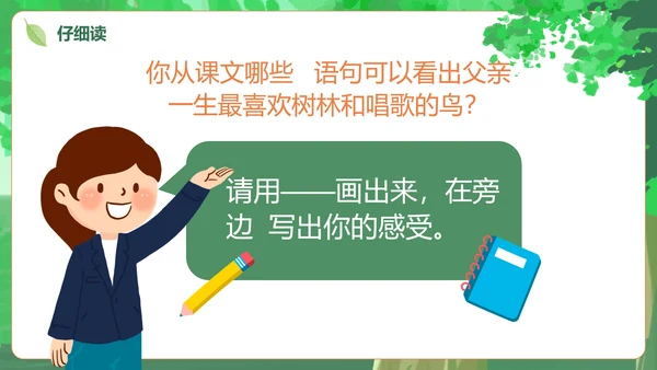 部编版三年级上册《父亲树林和鸟》课件PPT模板