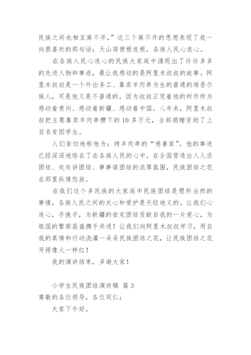 小学生民族团结演讲稿.docx