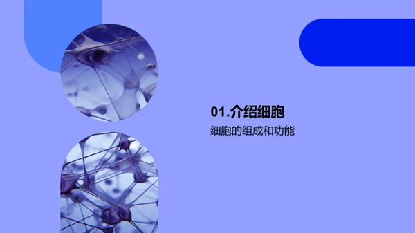 商务风生物医疗教学课件PPT模板